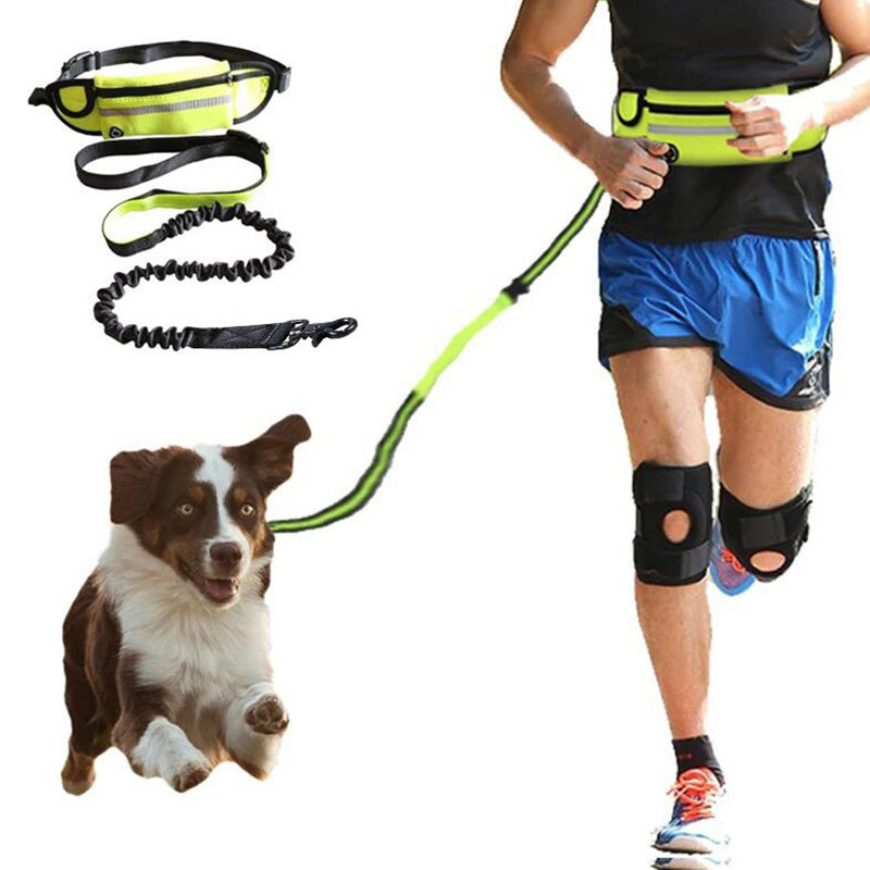 Hands-Free Dog Leash Belt – Shock-Absorbing Running Lead with Phone Pocket