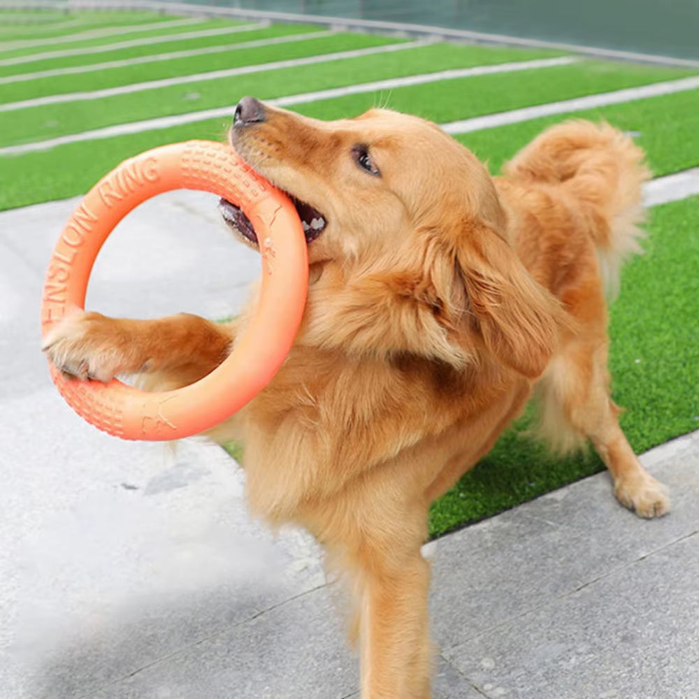 Orange EVA Dog Flying Disk Training Ring - Durable Interactive Toy for Dogs