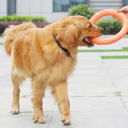 Orange EVA Dog Flying Disk Training Ring - Durable Interactive Toy for Dogs