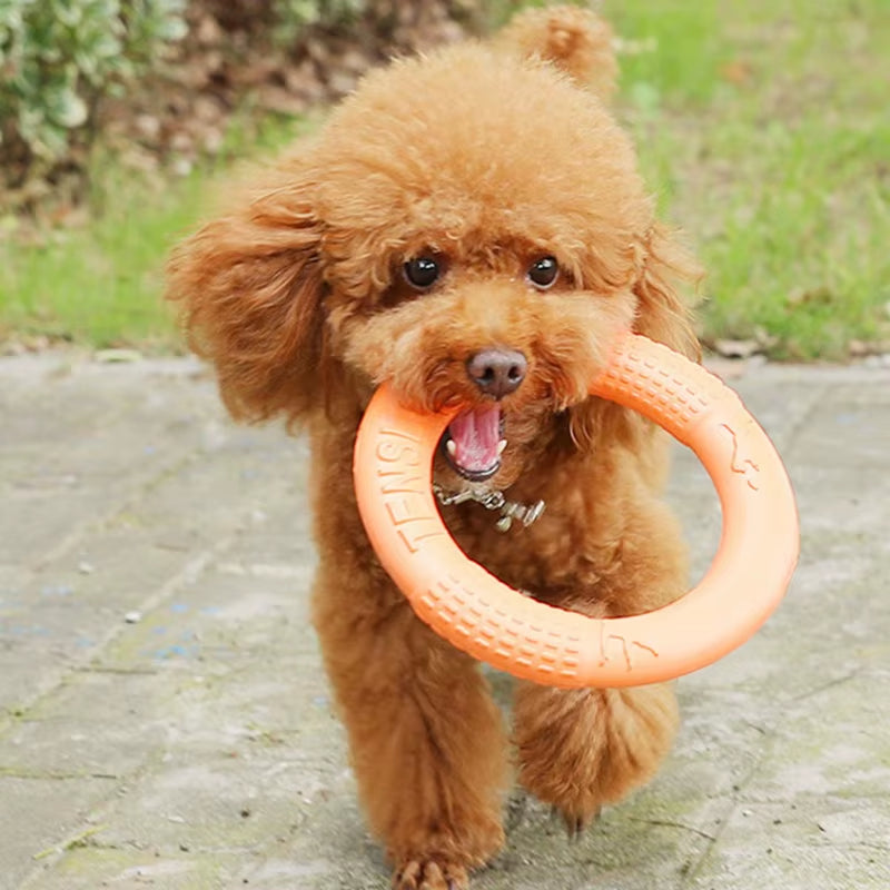 Orange EVA Dog Flying Disk Training Ring - Durable Interactive Toy for Dogs